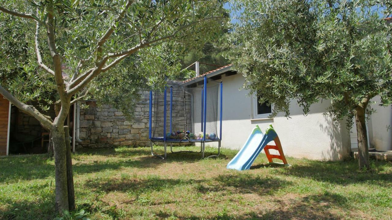 Dollar Apartment